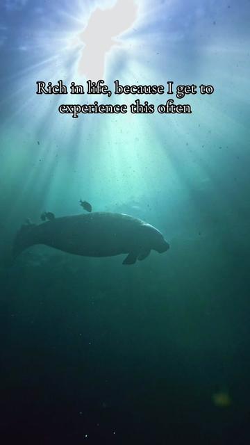 @KEᑎᗪᖇᗩᗩ