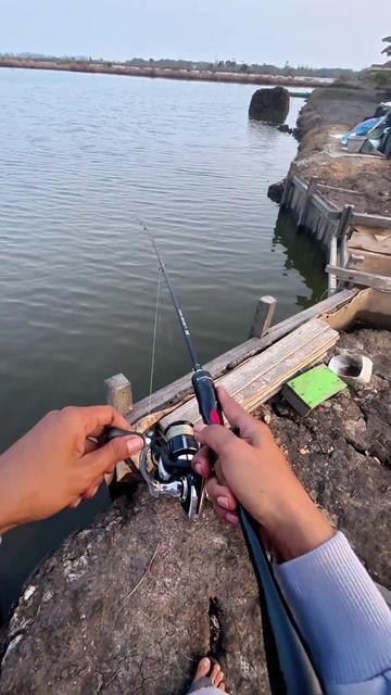 @Miyank Angler