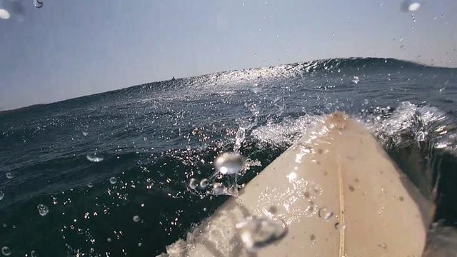 @oscarcc_surfs