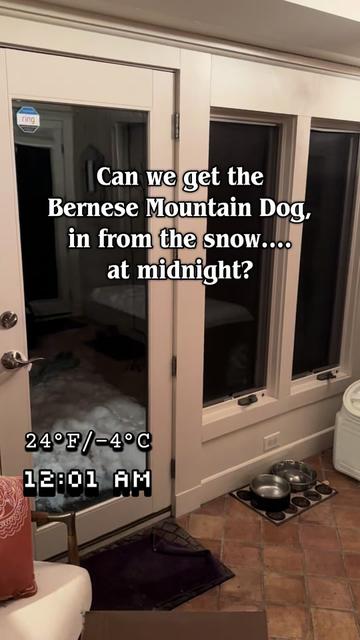 @Ivy the Berner