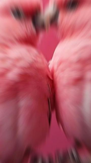 @🎧🕊️🅐︎🅛︎🅞︎🅝︎🅔︎🕊️🎧