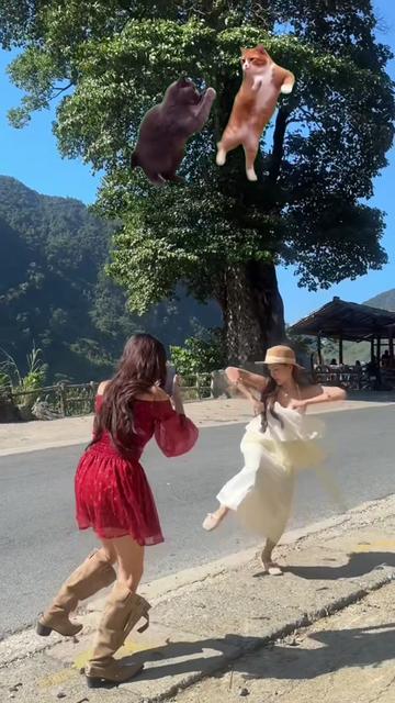 @Kiều Chi