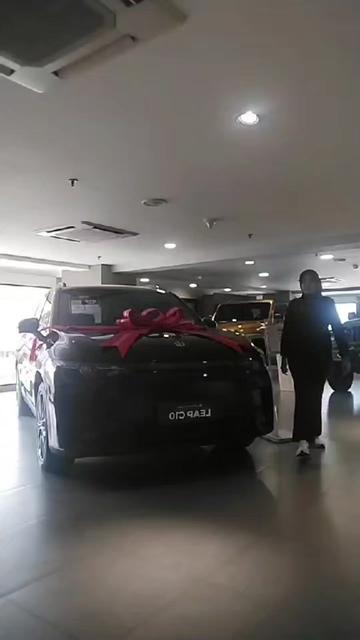 @Hymar Leapmotor MTH