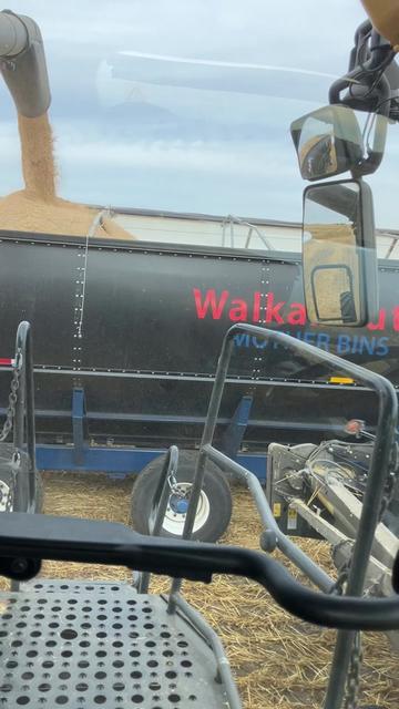 @bf48farmer