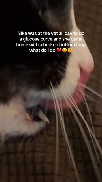 @Sarah Bublavy | Yoga + Fitness
