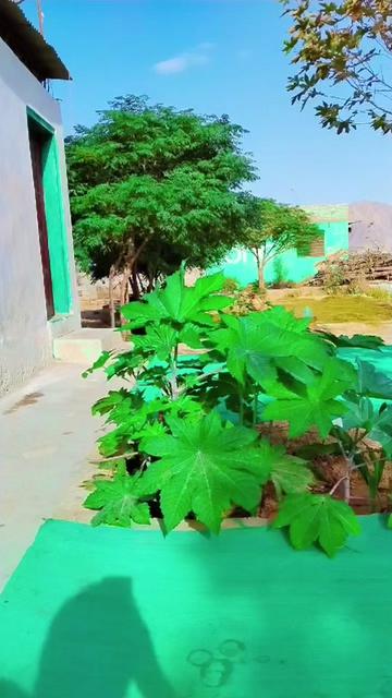 @Muhibkurd115