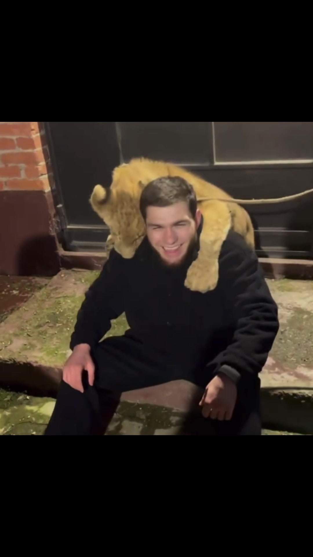 @utolvr
