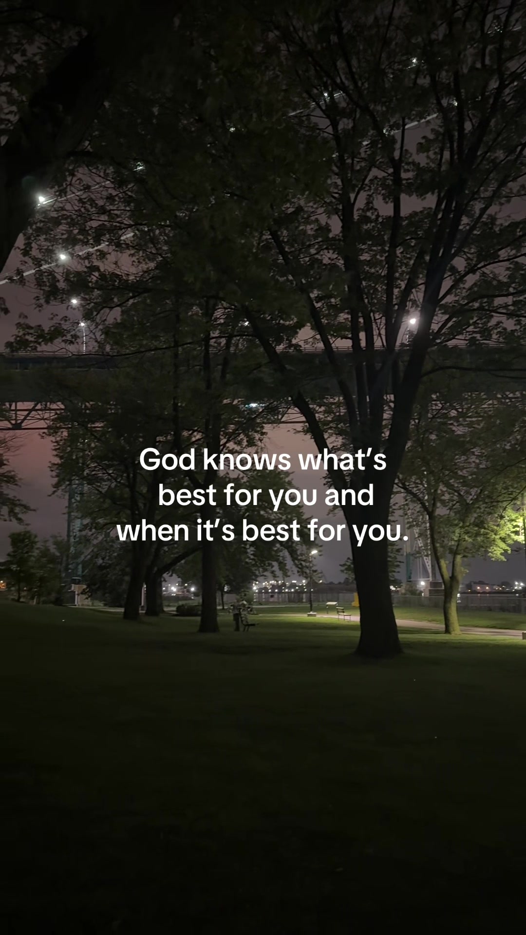 @ℒ ᥫ᭡