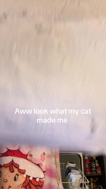 @lazywitch66