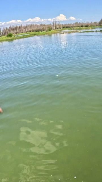 @Dkam Fishing (NJ)