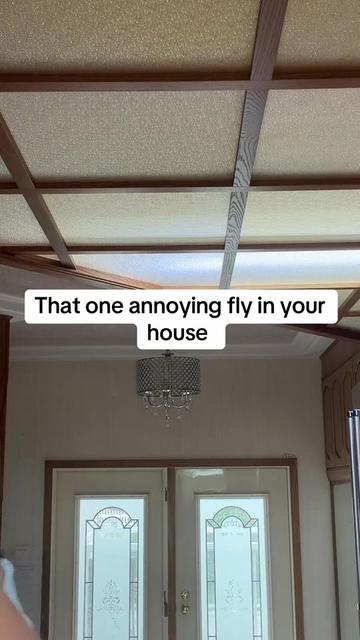 @Stacey Bee