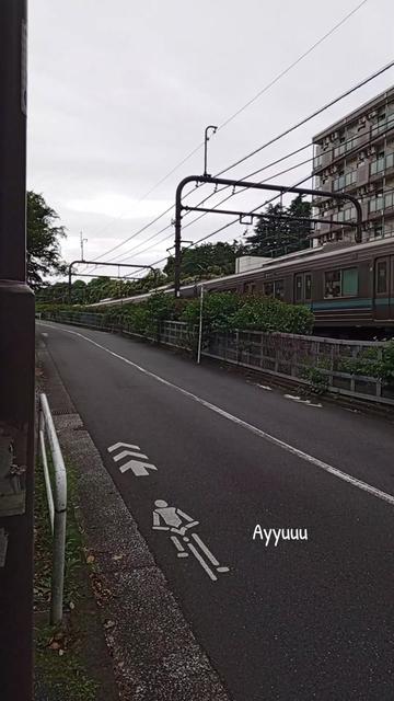 @Solo_traveler