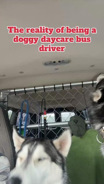 @Derpydogbus