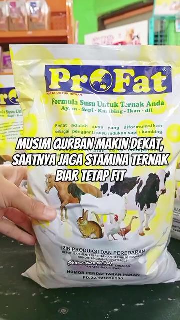 @Grosir Hammielion Petshop