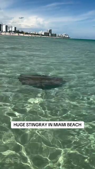 @Miami | Miami Beach