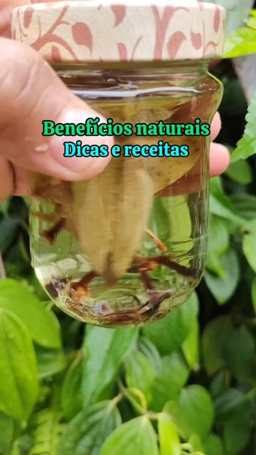 @natureza e saúde