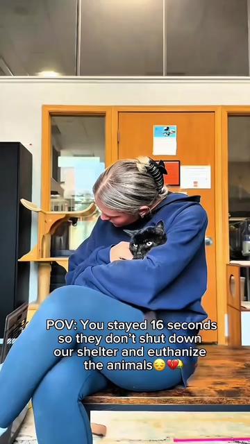 @Purry Paws
