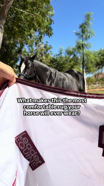 @Leader Equine