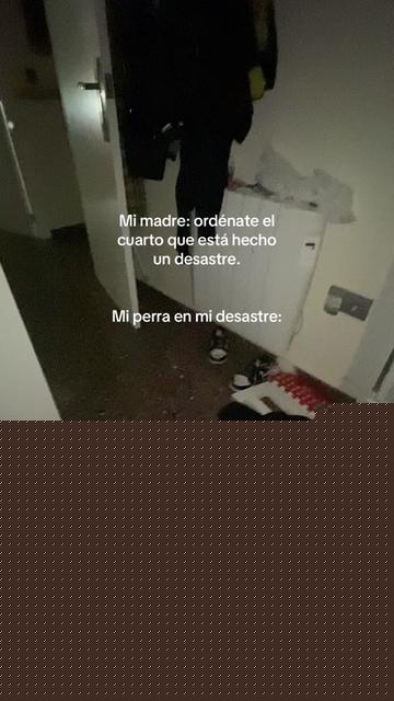 @𝑨𝒍𝒃𝒂 𝑴𝒐𝒍𝒊𝒏a