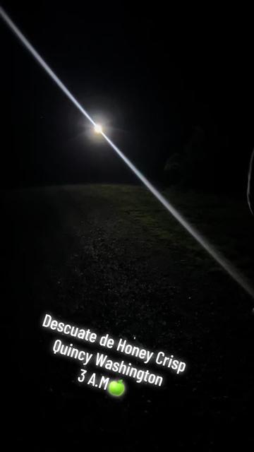 @Ricardo_98M1