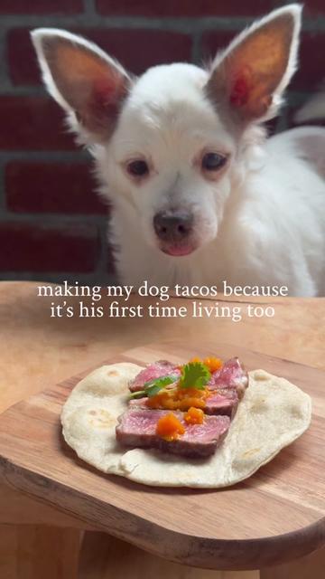 @Toby, Blü & Sara