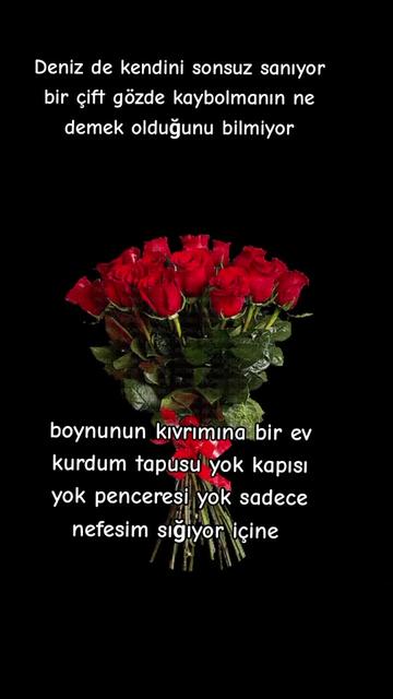@🇹🇷. YALINIZ ADAM 🇹🇷