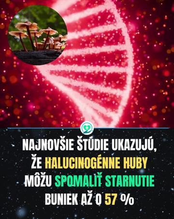 @ZDRAVPOINT