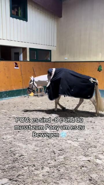 @Shanea & ihre Ponys ♥️🐴