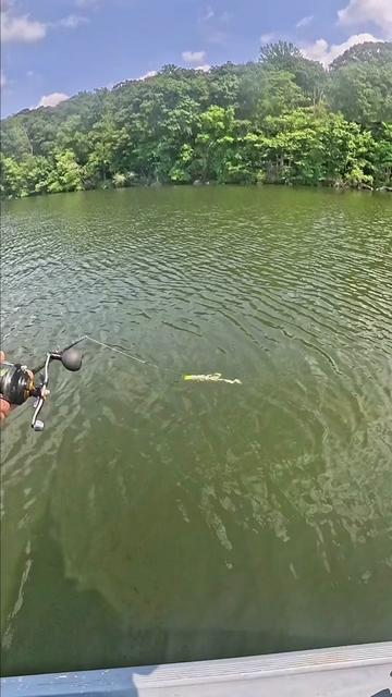 @Dkam Fishing (NJ)