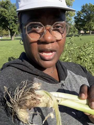 @greengirlgardens