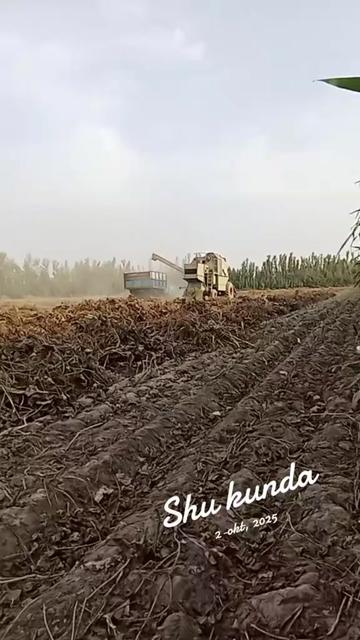 @Sherzodjon1995