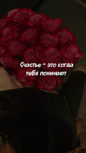 @svitlanalikitarch
