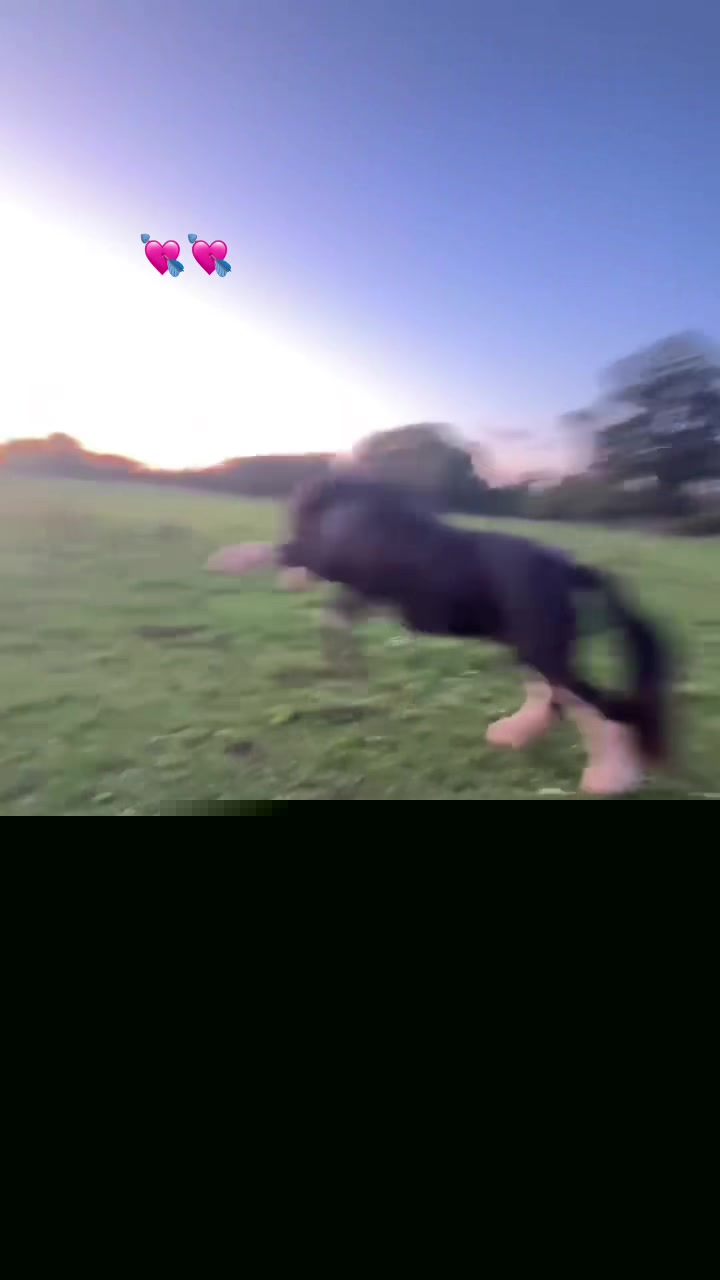 @11:11