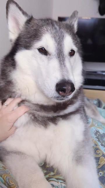 @Freya & Kuma