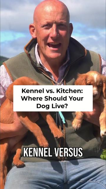 @Mordor Gundogs
