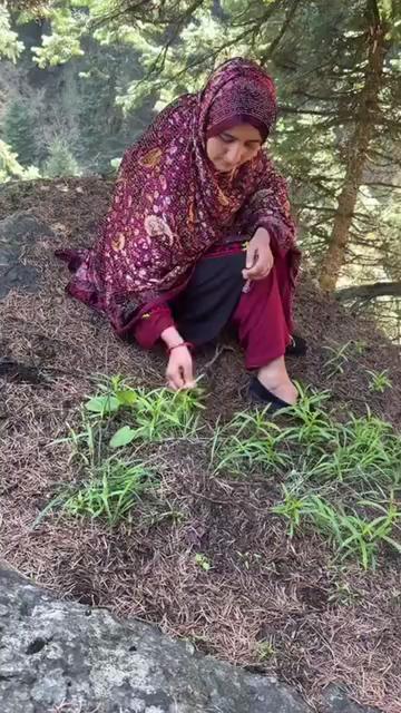 @Kashmir Ajk