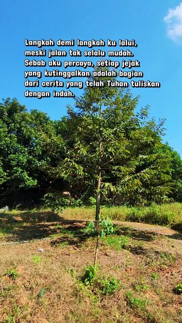 @TRETAN DUREN