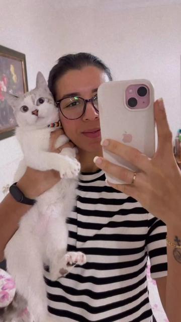 @aghatalinke