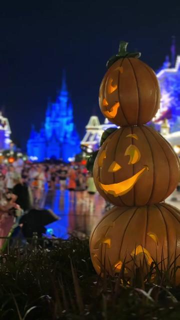 @Disney Dreamer