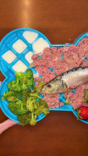 @Kayla Kowalski Nutrition
