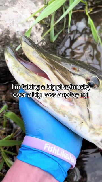 @FattBassFishing
