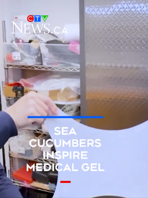 @CTVNewsKitchener