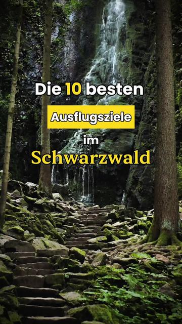 @Schwarzwald Pur