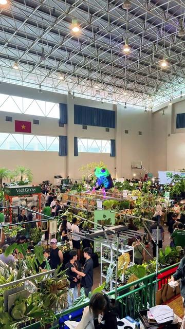@SERAMIS VIỆT NAM