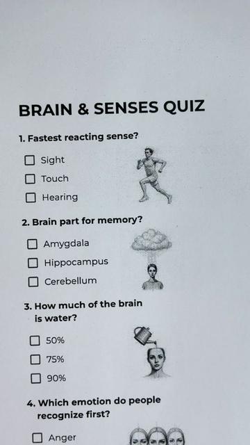 @Quizensky’s Brain Gym