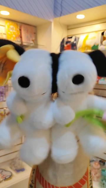 @Booshi MOSHI Store
