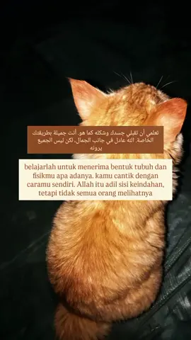 @Layllaaa_04🐾