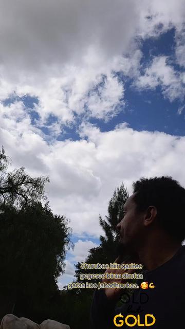@Muna Tilahun 艾柏