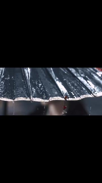 @❤◦•❣◉✿𝓹𝓸𝓹𝓸𝓽𝓲𝓽𝓸27✿◉❣•◦❤