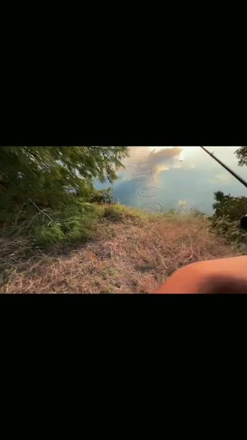 @Swimbait_noah